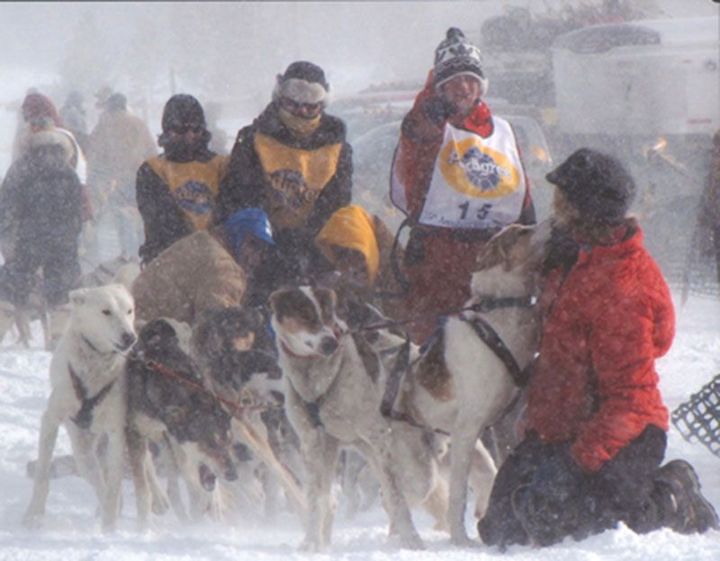 Honorable Mention - Potpourri