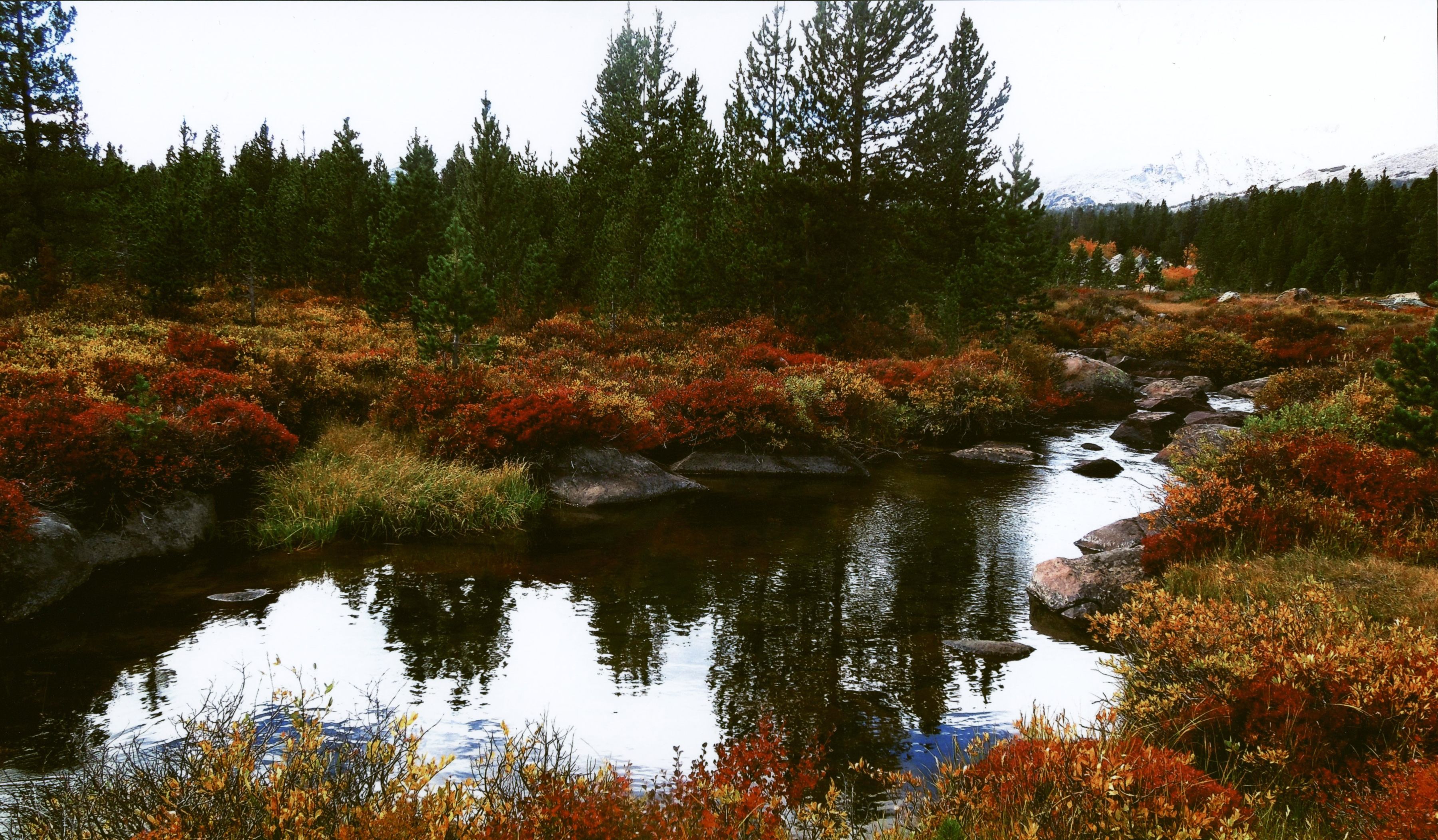 Honorable Mention - Scenic