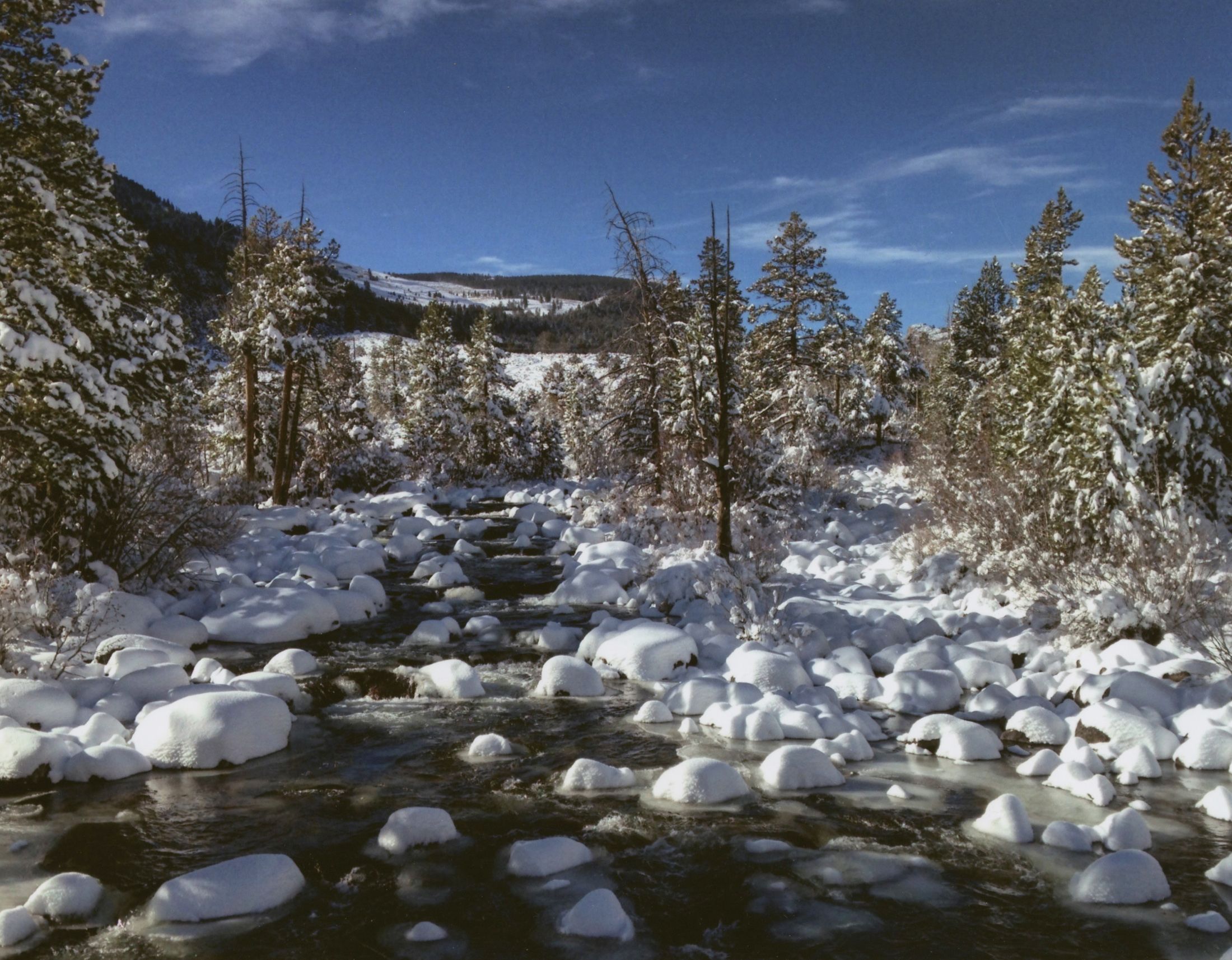 Honorable Mention - Scenic