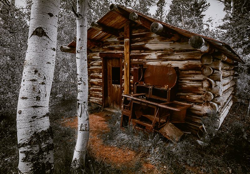 Honorable Mention - Potpourri