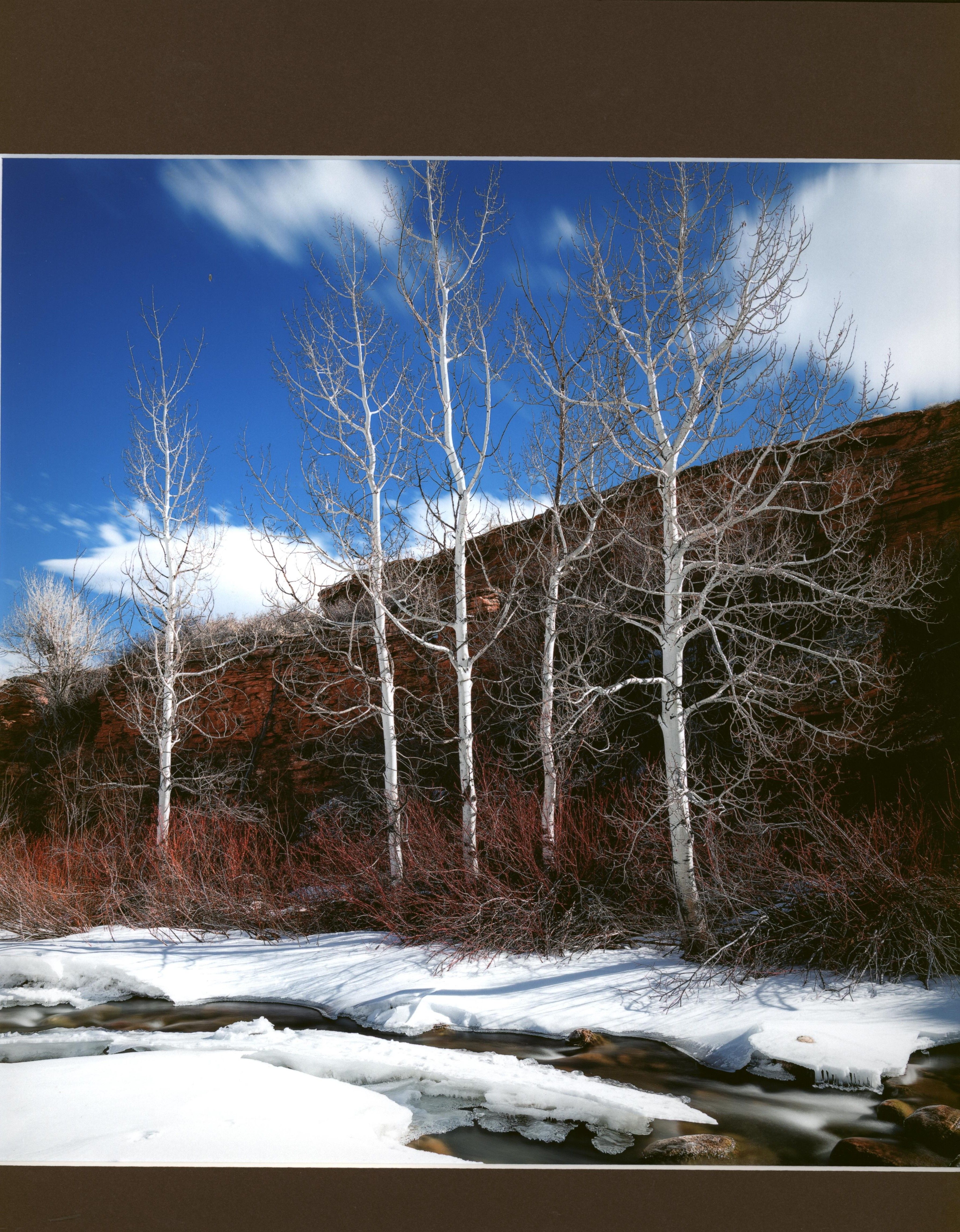 Honorable Mention - Scenic