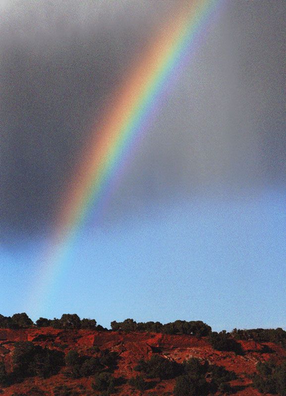 Honorable Mention - Scenic