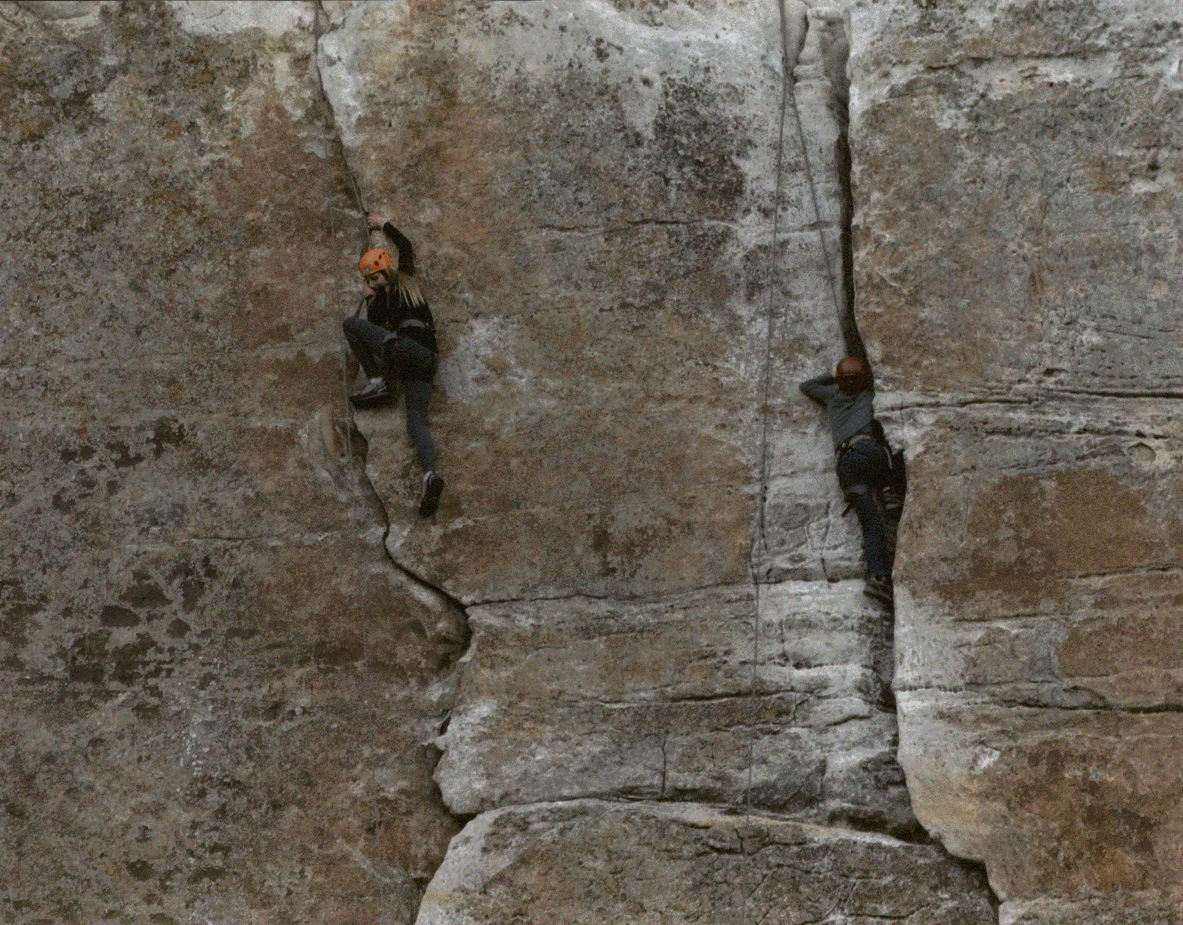 Honorable Mention - Potpourri