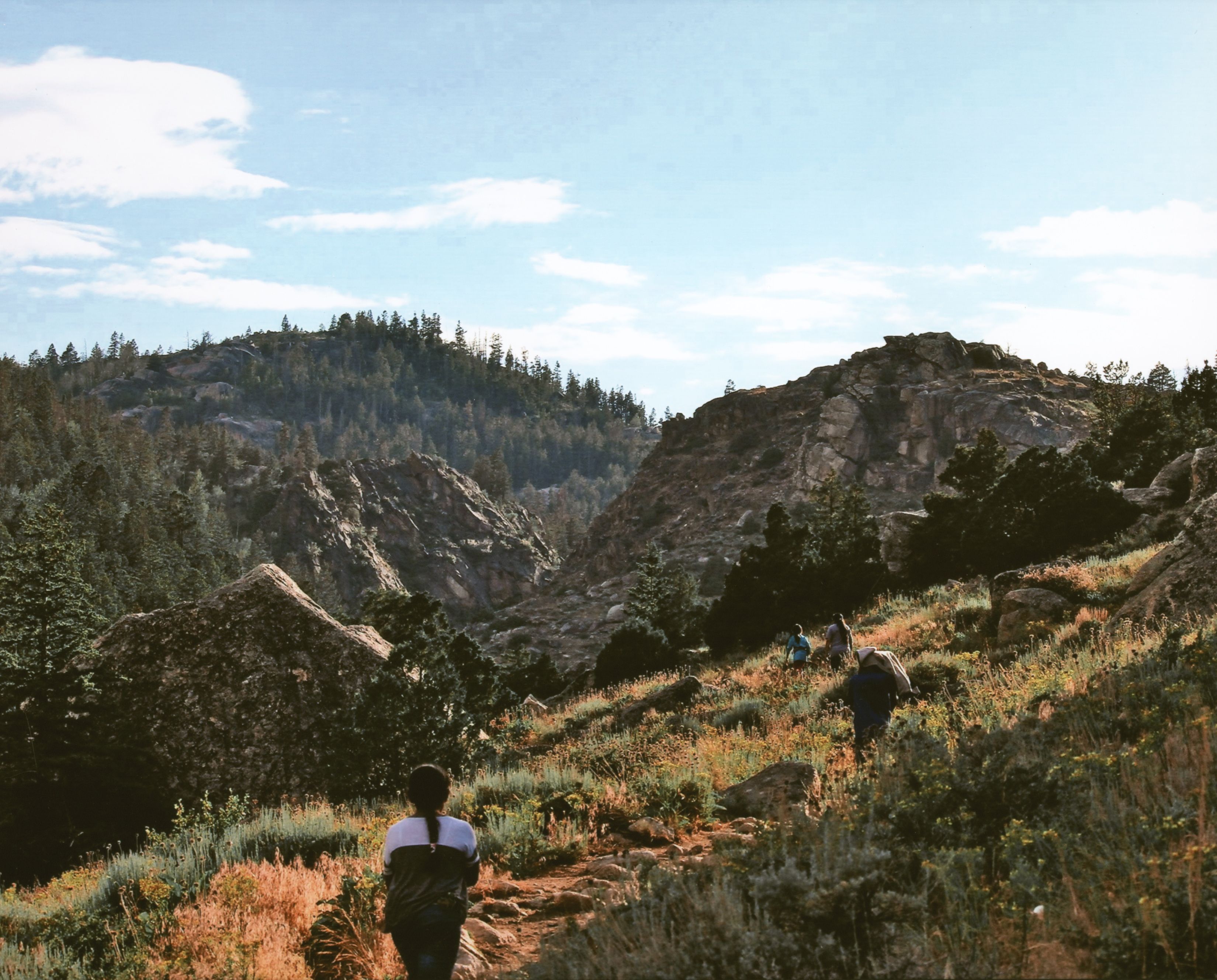 Honorable Mention - Potpourri