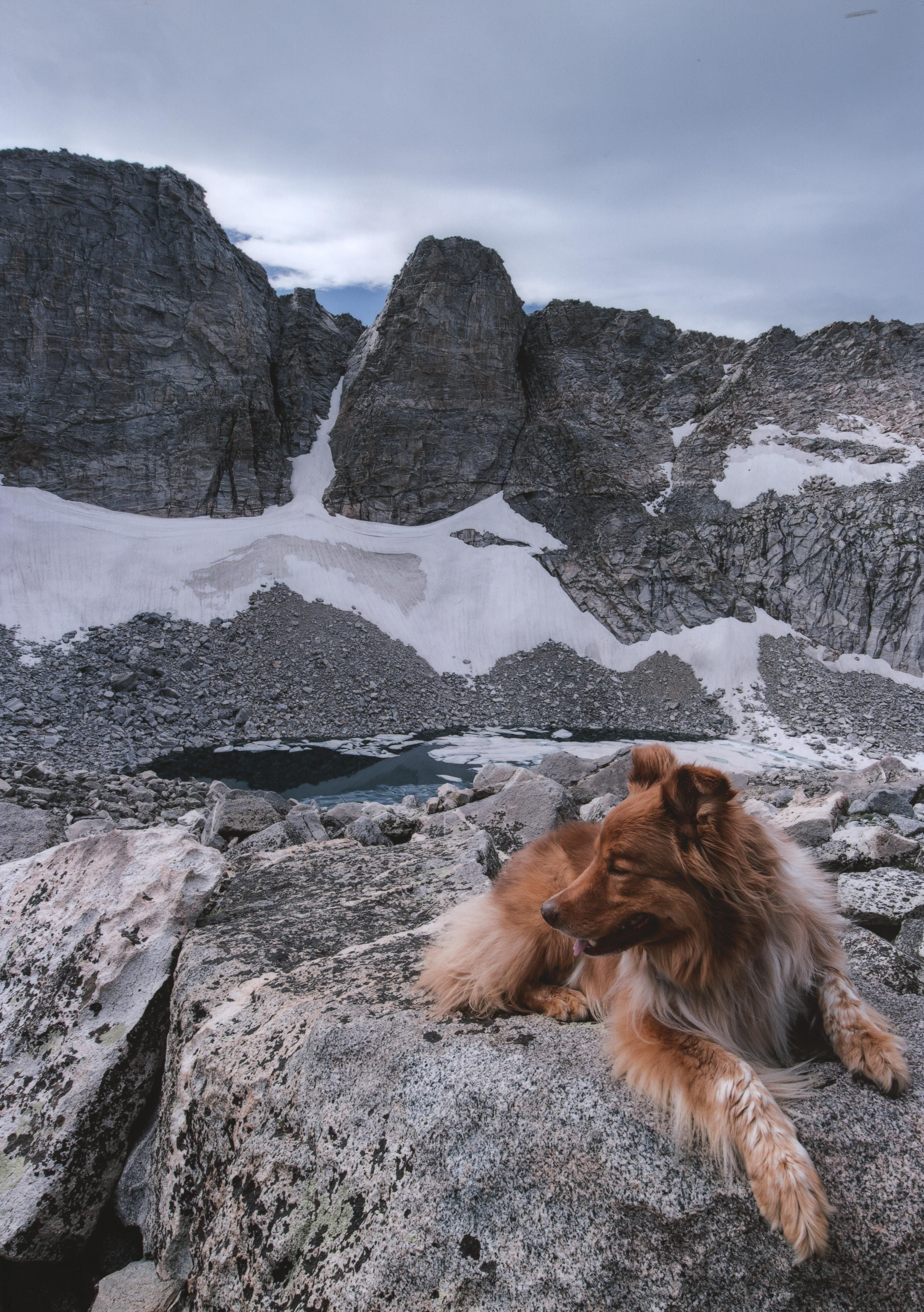 Honorable Mention - Potpourri