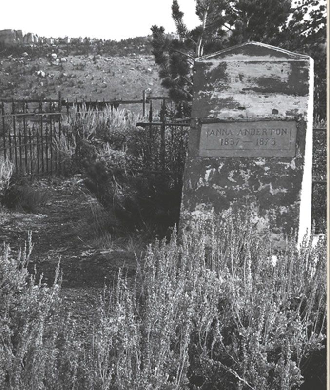 Honorable Mention - Potpourri