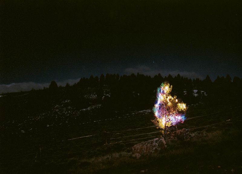 Honorable Mention - Potpourri