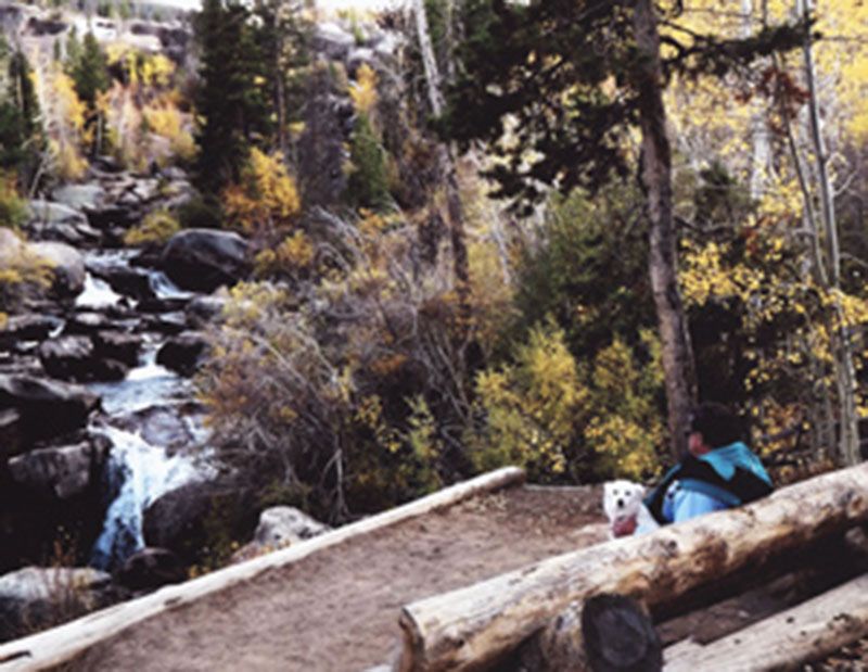 Honorable Mention - Potpourri