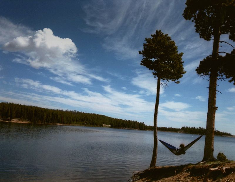 Honorable Mention - Potpourri