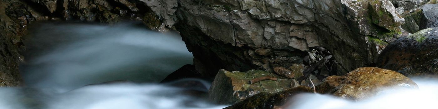 WELCOME TO SINKS CANYON