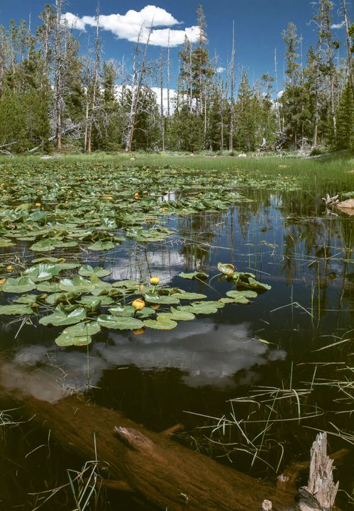 Honorable Mention - Scenic