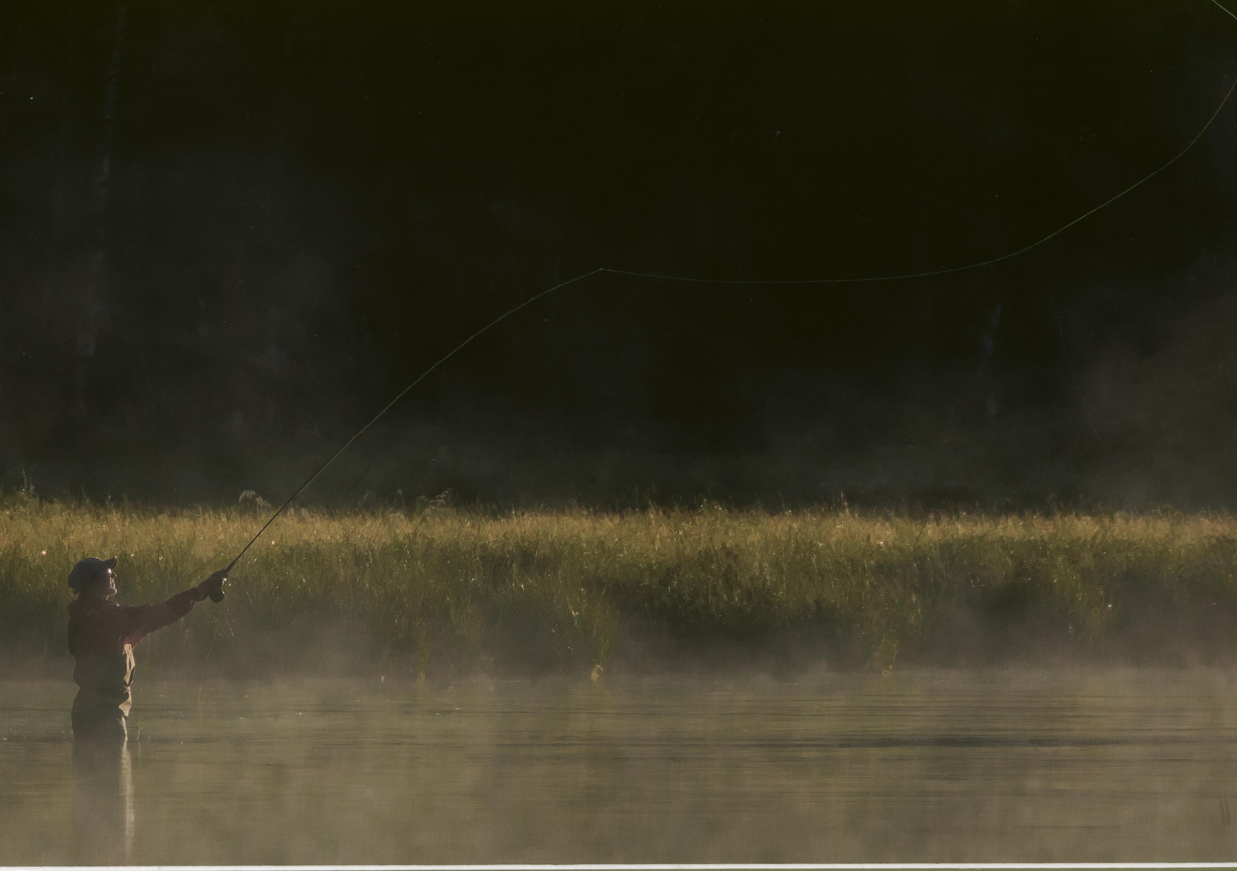 Honorable Mention - Potpourri