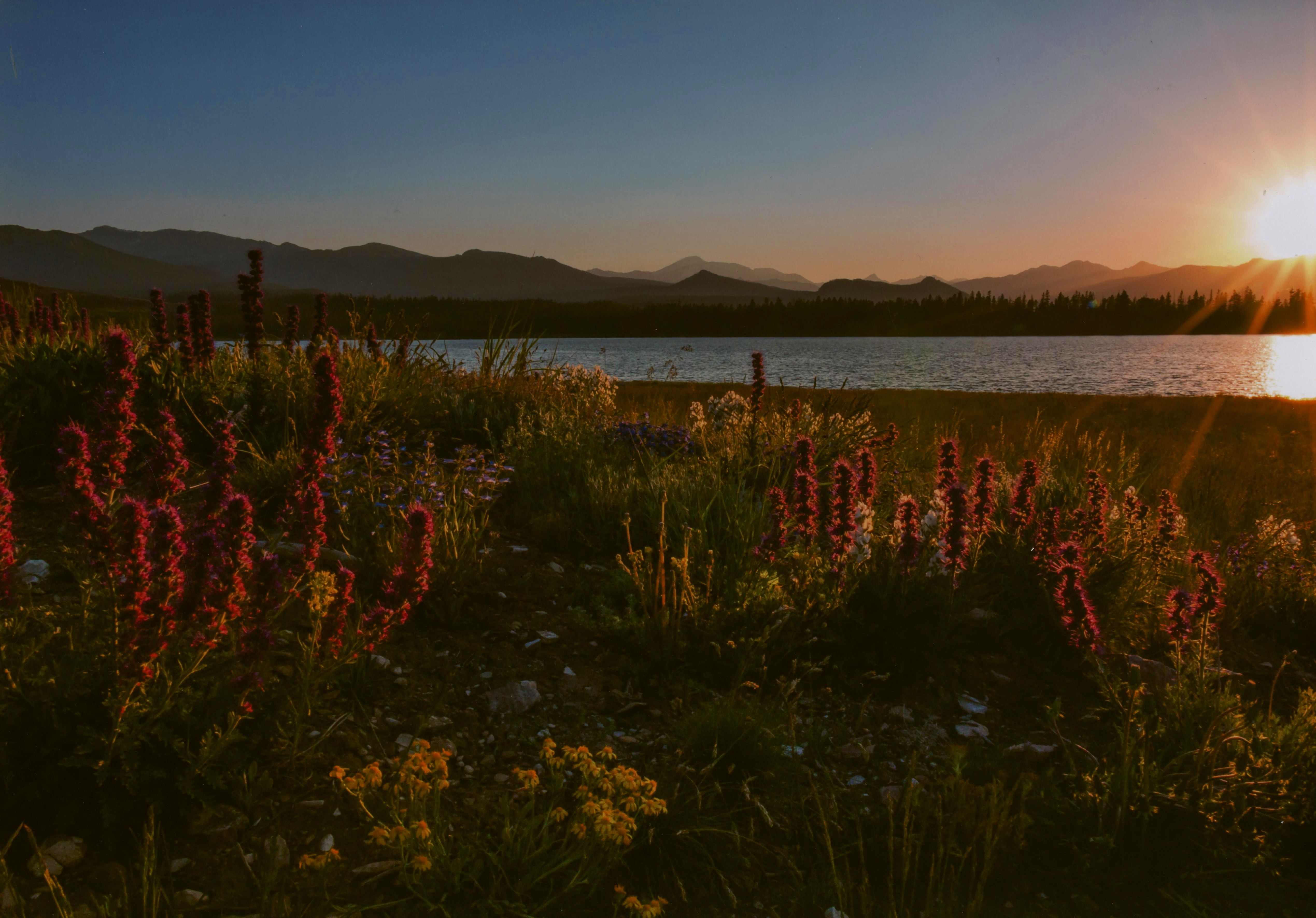 Honorable Mention - Scenic