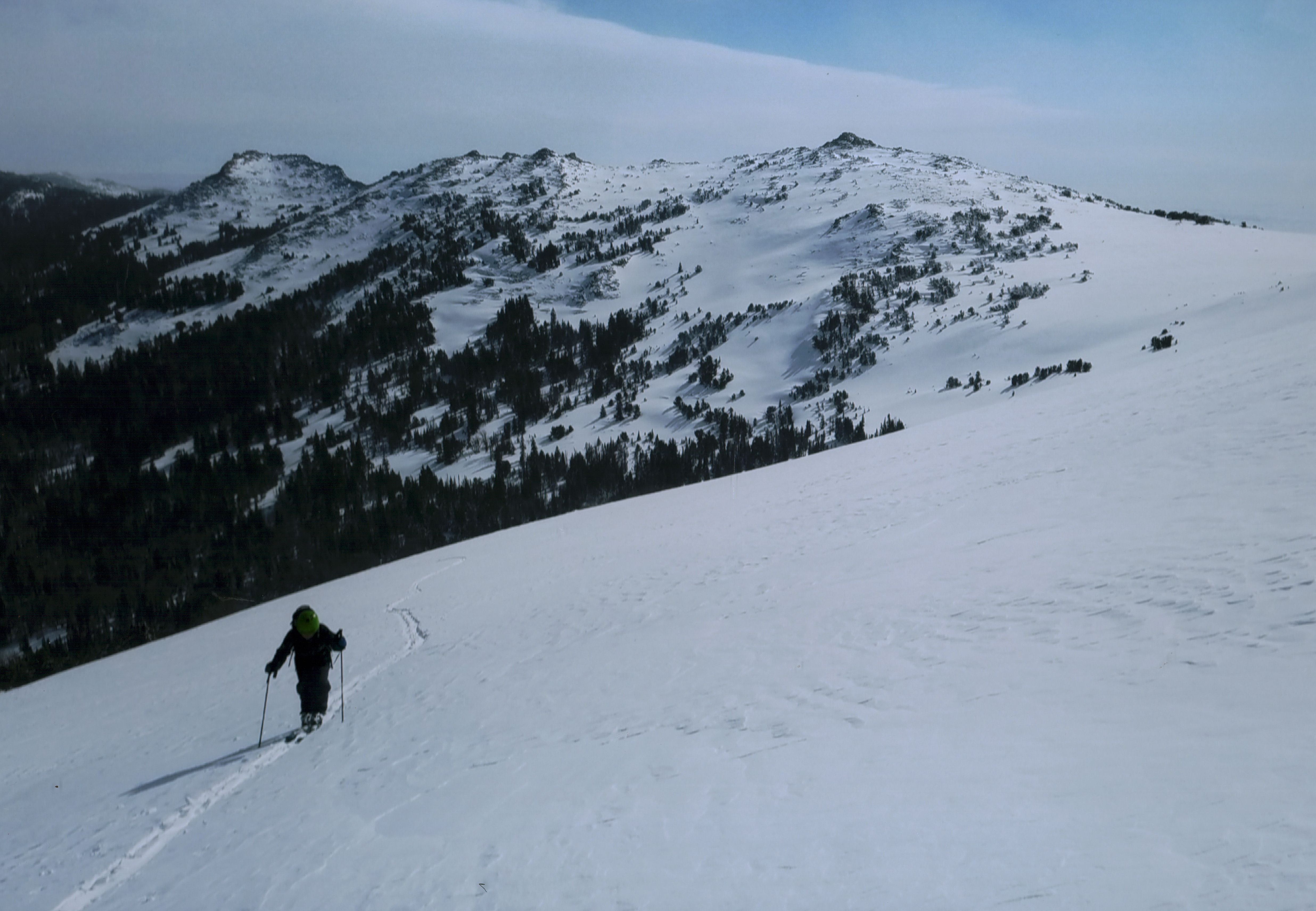 Honorable Mention - Potpourri