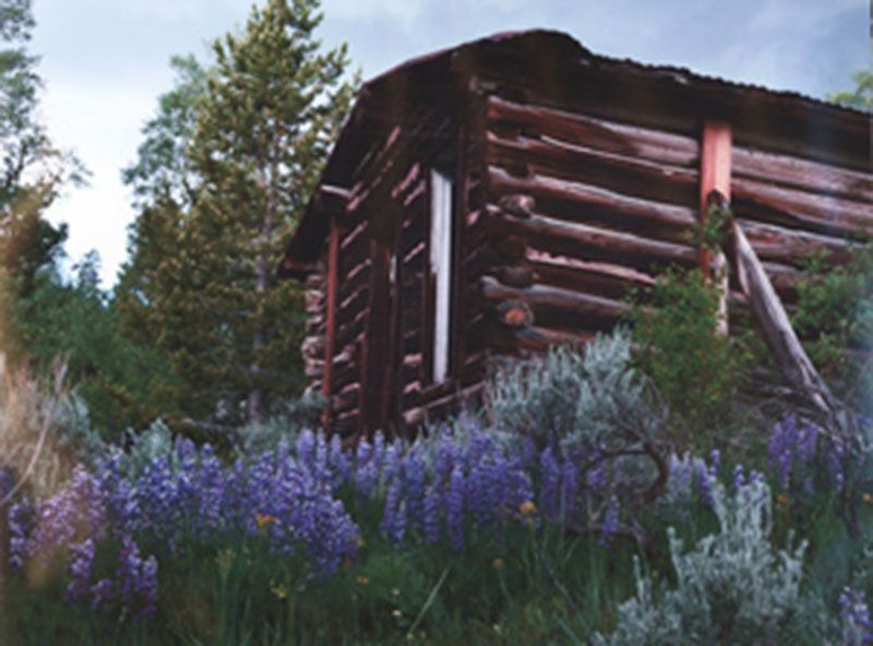 Honorable Mention - Potpourri