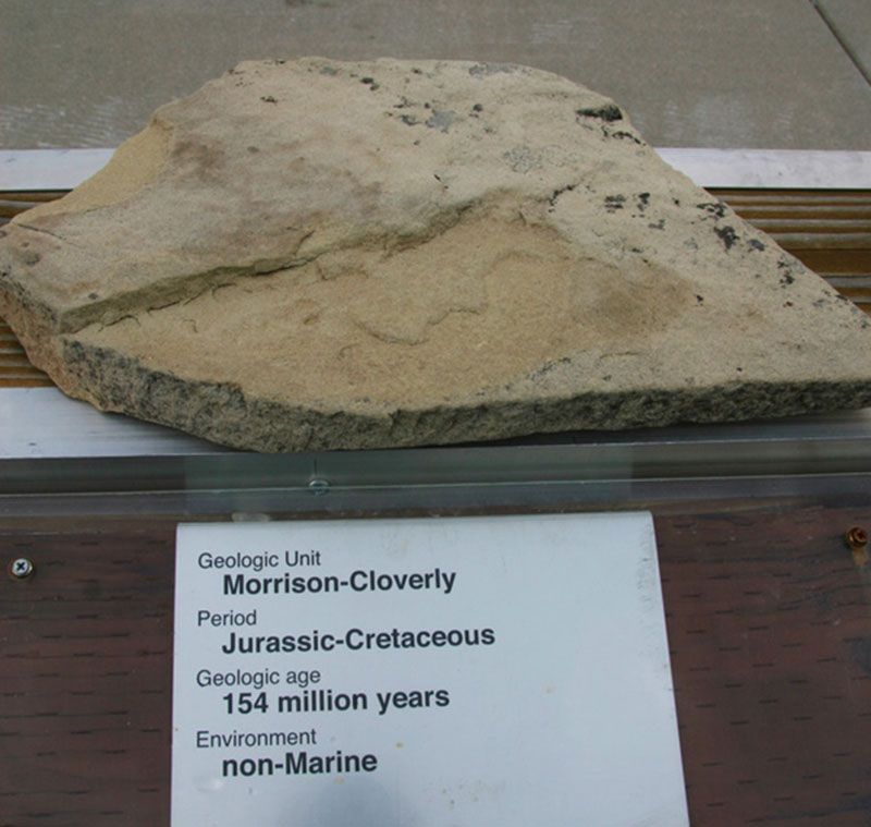 Morrison-Cloverly - Jurassic-Cretaceous