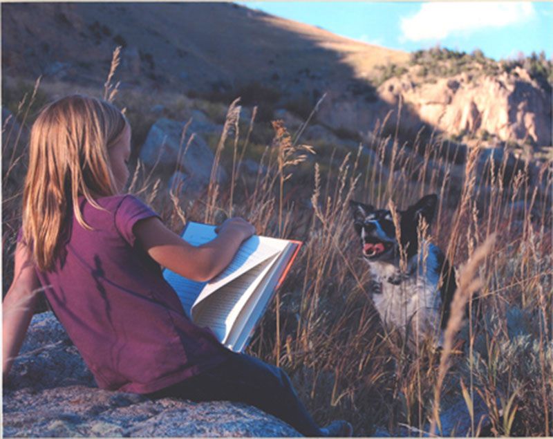 Honorable Mention - Potpourri