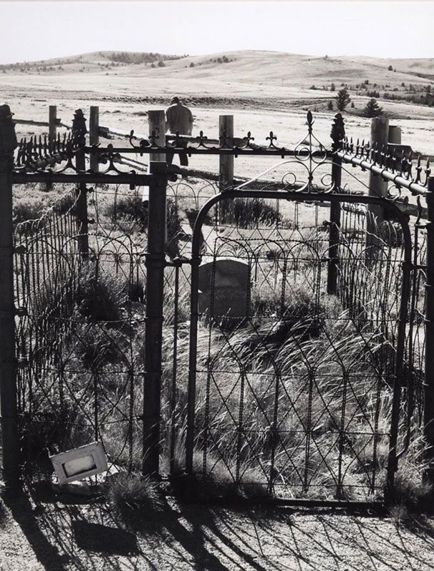 Honorable Mention - Potpourri