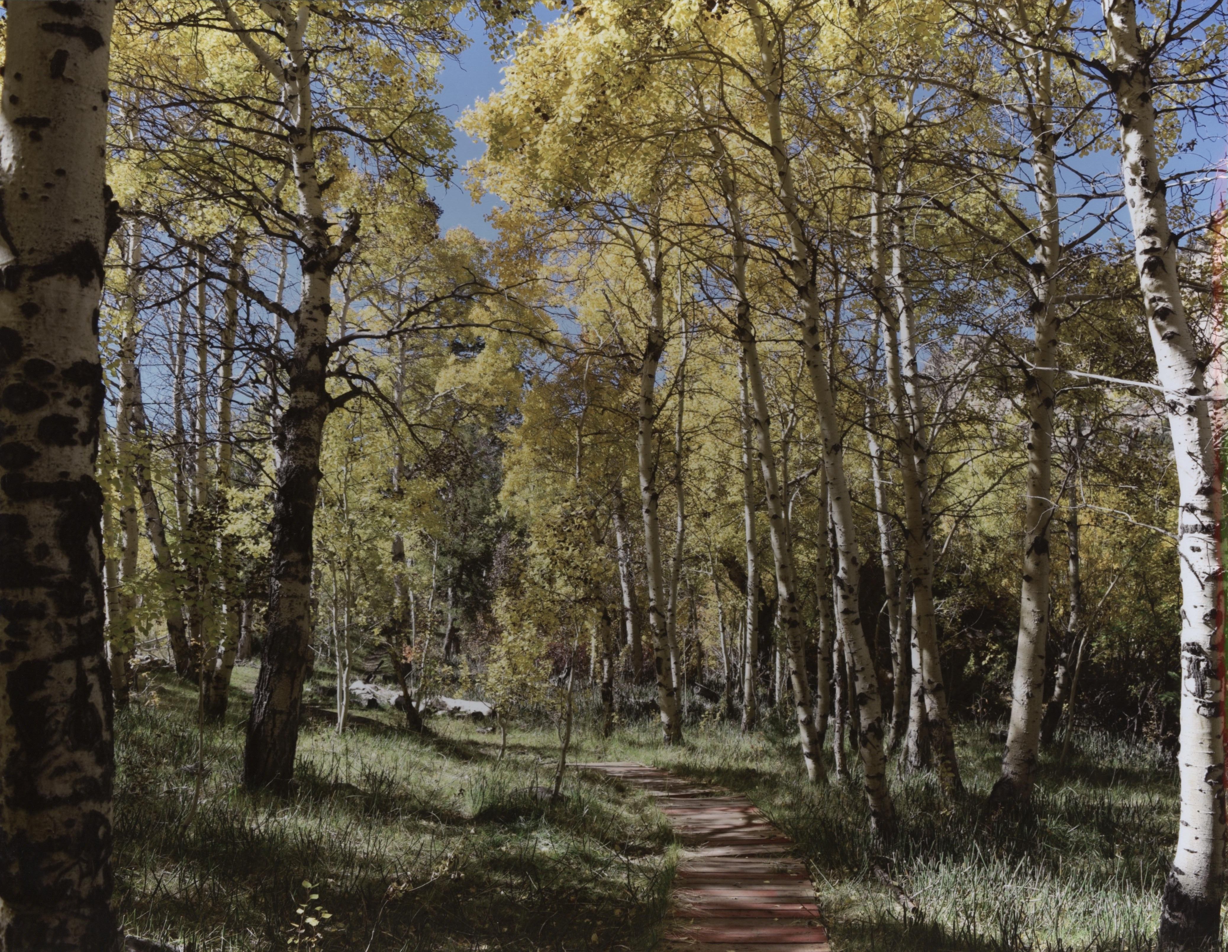 Honorable Mention - Scenic