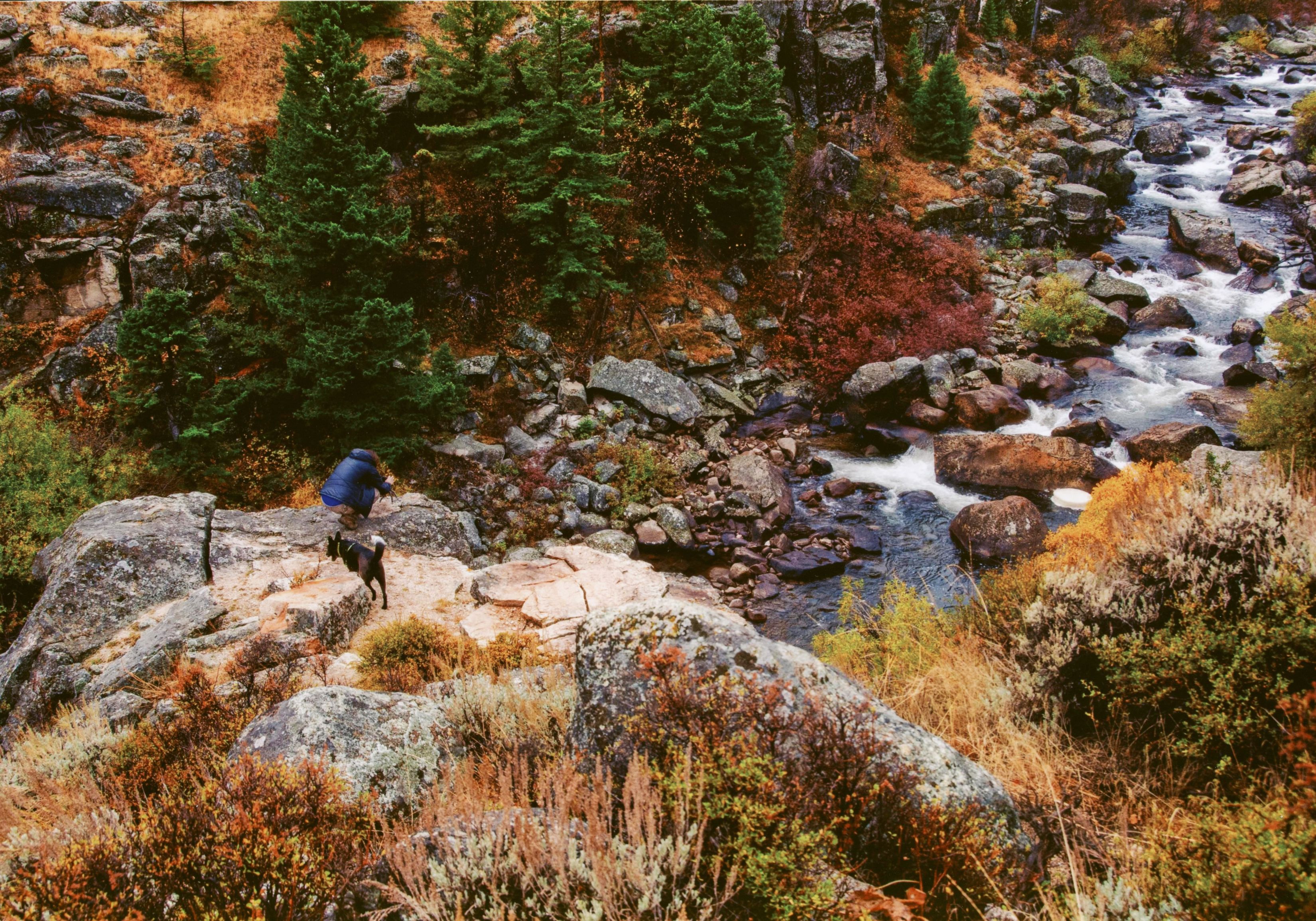 Honorable Mention - Potpourri