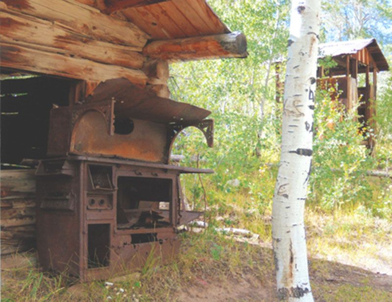 Honorable Mention - Potpourri