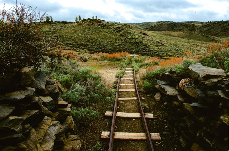 Honorable Mention - Potpourri