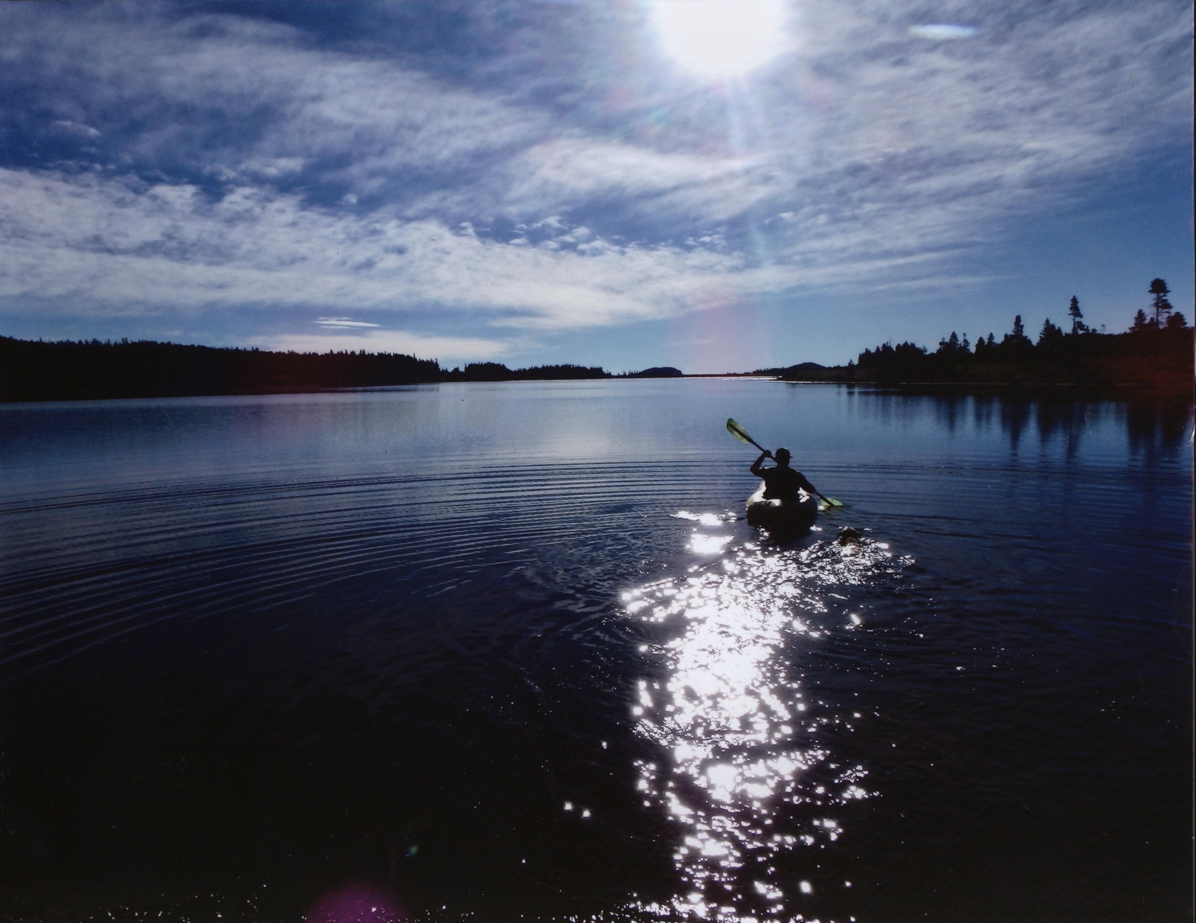 Honorable Mention - Potpourri