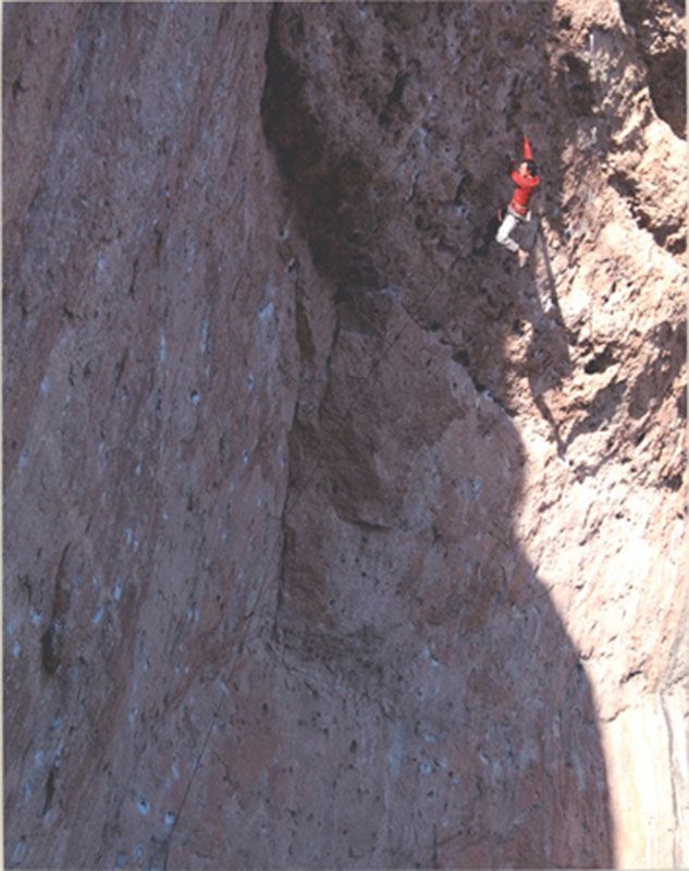 Honorable Mention - Potpourri