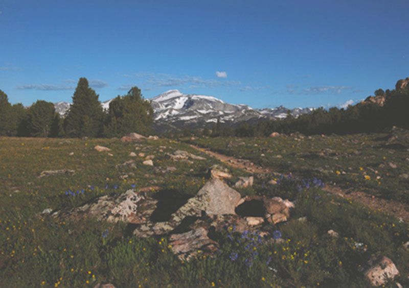 Honorable Mention - Scenic