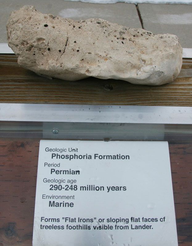 Phosphoria Formation - Permian