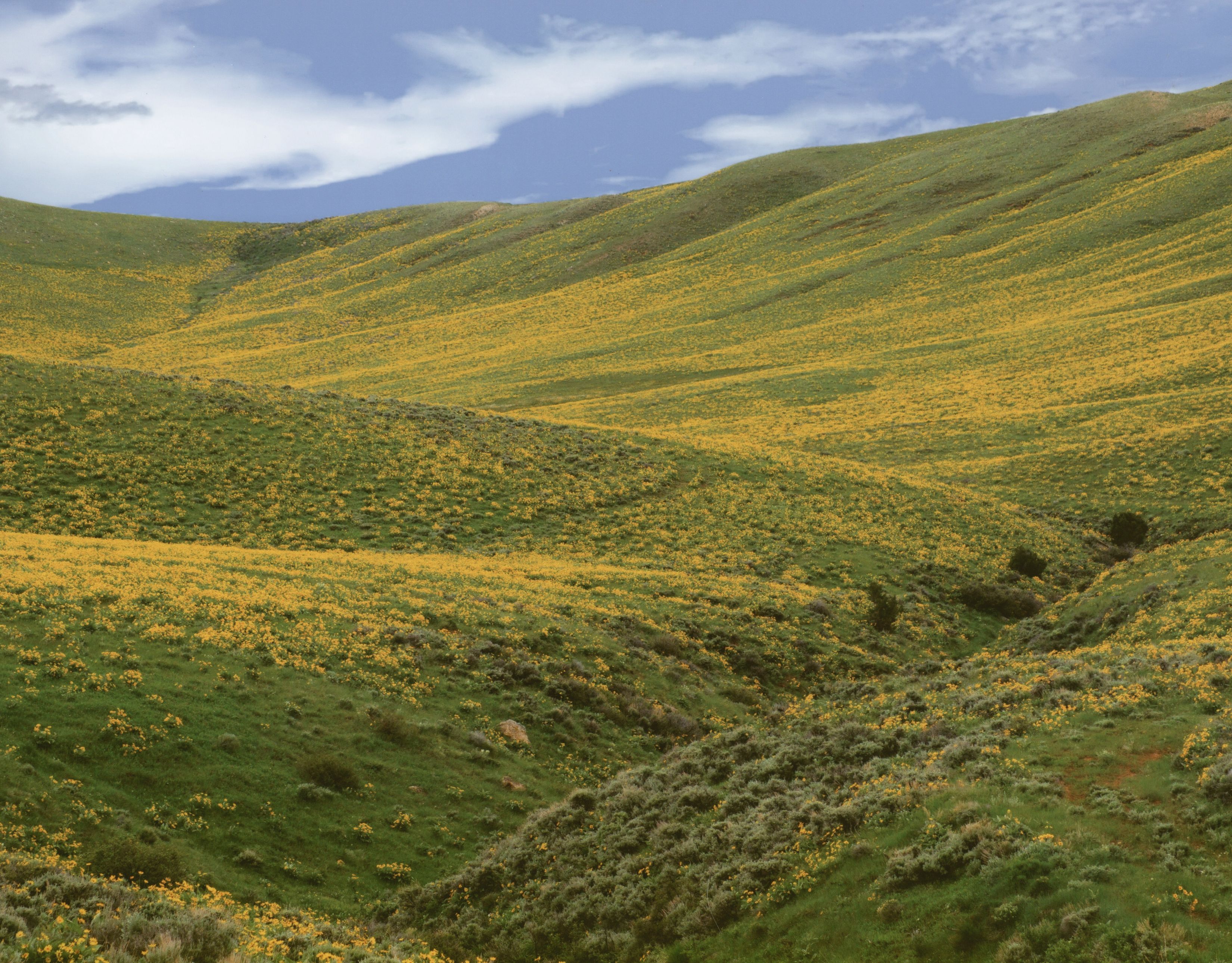 Honorable Mention - Scenic